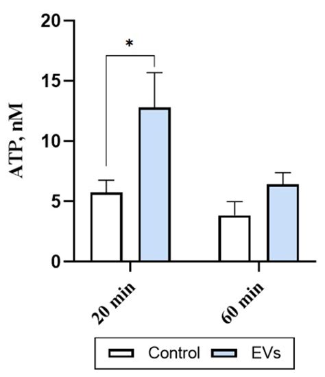 Extracellular Vesicles from Human Teeth Stem Cells Trigger ATP Release ...