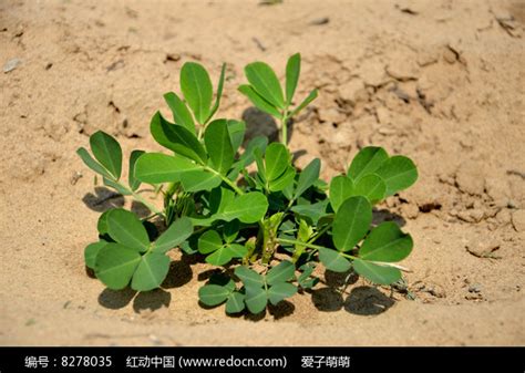Image result for Practical Use Meaning Example