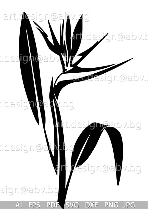 Buy Strelitzia Vector Graphic, Floral Design (digital Download) Online ...