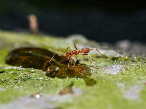 Images+Of+A+Christina+Piercing Photos, Download The BEST Free Images+Of ...