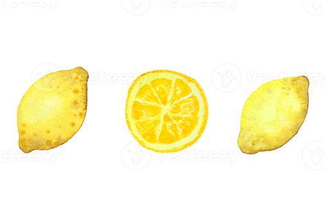 Lemon watercolor painting 20482785 PNG