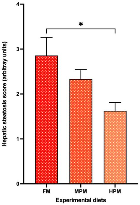 International Journal of Molecular Sciences | An Open Access Journal ...