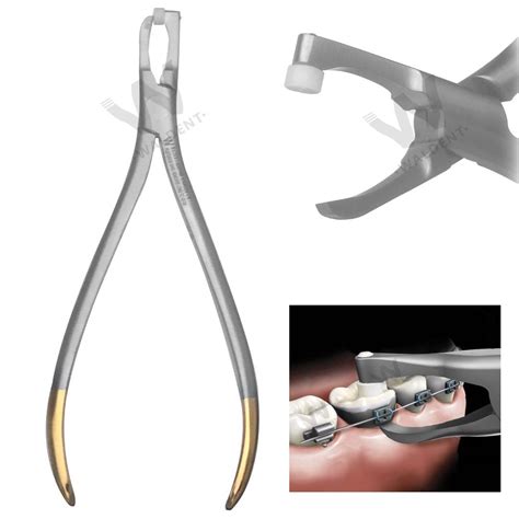 Import Curved Stainless Steel MTA Carrier for Precise Dental Procedure ...