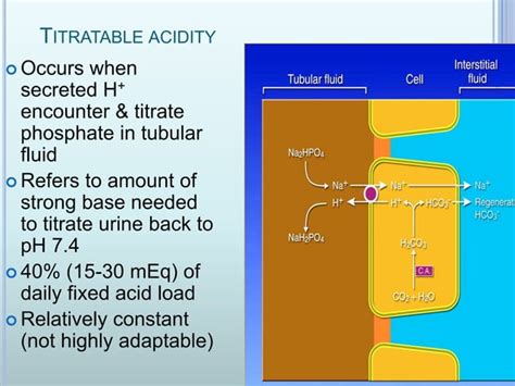 Image result for What Is Buffer