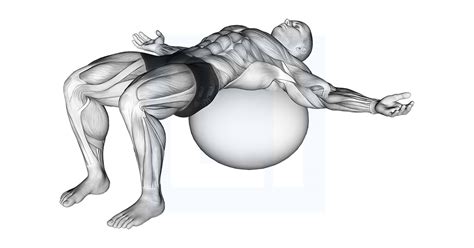Image result for Inverted Row Exercise