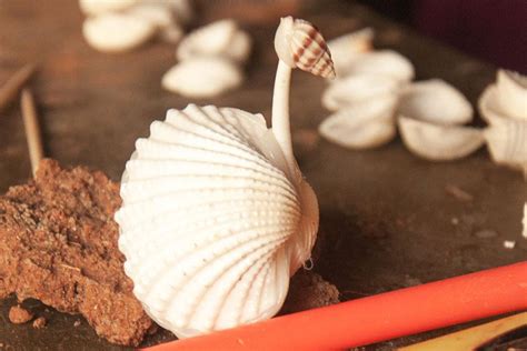 D'source Introduction | Seashell Craft - Panaji, Goa | D'Source Digital ...