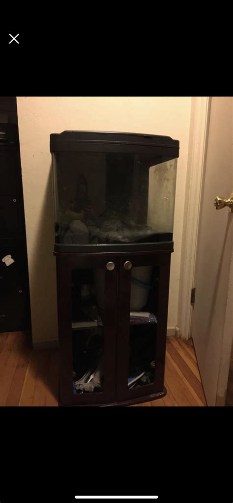 Image result for Biocube Maintenance Tips