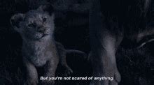 Image result for Simba PNG Scared
