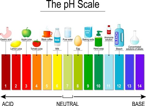 Image result for Universal Indicator Examples