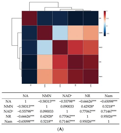 Enhanced Production of β-Nicotinamide Mononucleotide with Exogenous ...