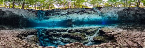 Image result for Little Devil Spring