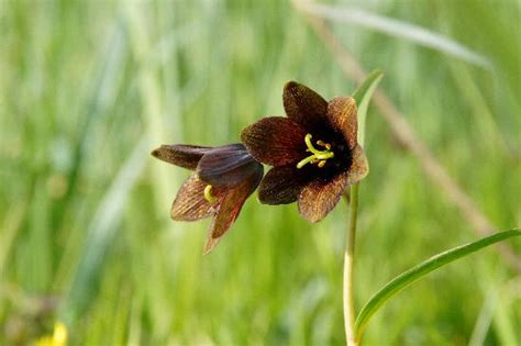 SITKA SPORTSMAN'S ASSOCIATION RV PARK - Campground Reviews & Photos ...