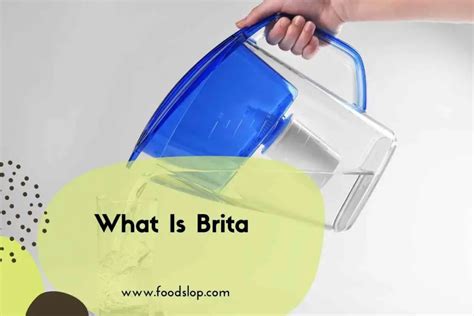 Image result for Brita Food Processor Atachment
