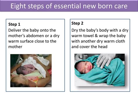Essential Newborn Care | PPTX