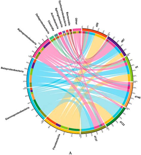 Water Quality and Microbial Community Changes in an Urban River after ...