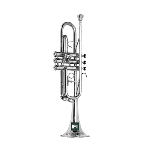 Amazon.in Bestsellers: The most popular items in Trumpets