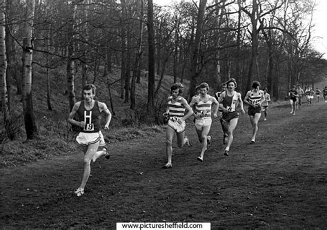 Searching Picture Sheffield