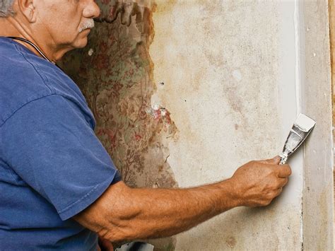 Fixing Plaster Walls 的图像结果