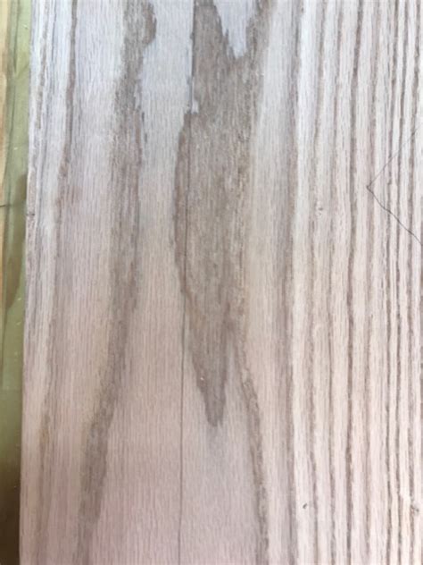 Image result for Split Case Neck