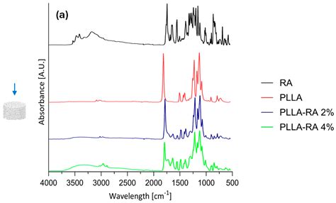 Poly-l-Lactic Acid Scaffolds Additivated with Rosmarinic Acid: A Multi ...