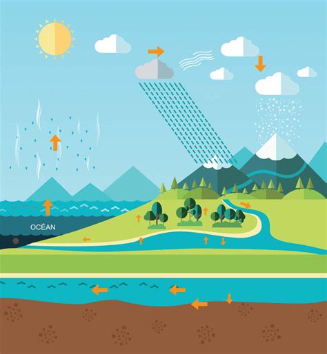 Les cycles de l'eau - Syndicat de l'Yvette