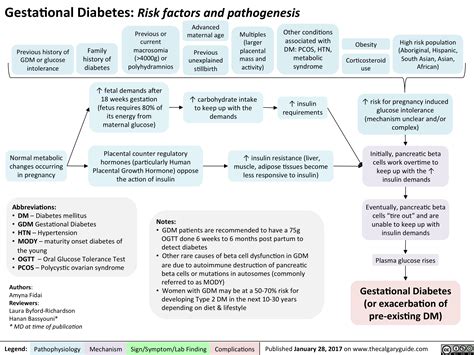 Gestational Diabetes: Risk factors and pathogenesis | Calgary Guide