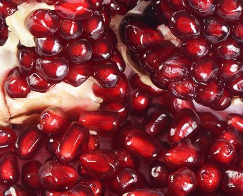 Pomegranate | Description, Cultivation, & Facts | Britannica