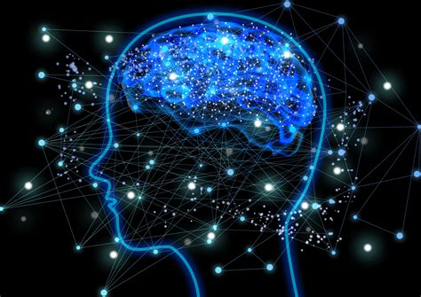 Brain Science.com 的图像结果