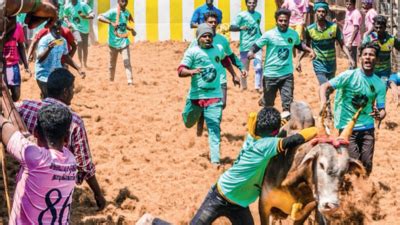 Maravapatti jallikattu goes to church in Tamil nadu | Chennai News ...