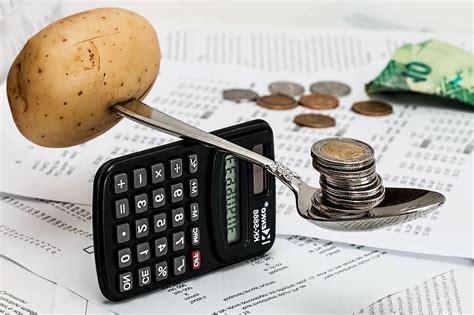 Budget Format Sample 的图像结果