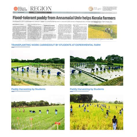 Annamalai University