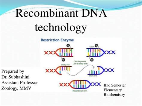 Recombinant DNA Technology Class 12 的图像结果