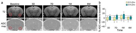 Long-Term Anxiety-like Behavior and Microbiota Changes Induced in Mice ...
