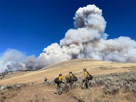 Wildland Fire 101 | Temporary, Seasonal, And Permanent Wildland Fire ...