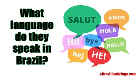 What Language Brazilian Speak 的图像结果