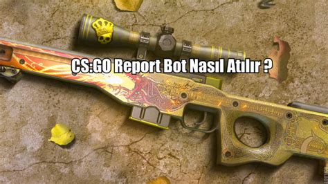 CS GO Report Bot 的图像结果