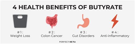 What Is Butyrate and Should You Supplement With It? - Perfect Keto