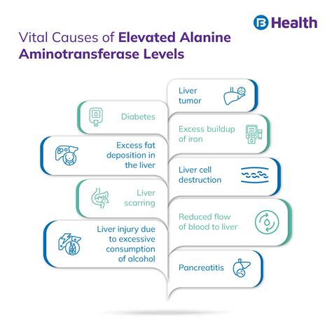 Alanine Aminotransferase Test: Normal Range and Results