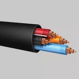 Image result for eVision Control Cable