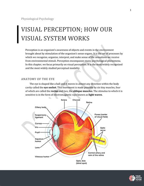 SOLUTION: Mechanisms of Vision - Studypool