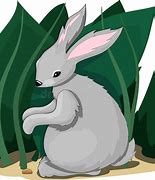 Image result for Black and White Bunny Sitting