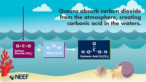Diagram showing how carbon dioxide molecules from the air react with ...