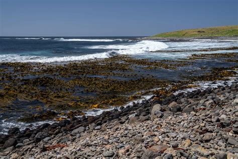 Auckland Islands, New Zealand — The Apart Project