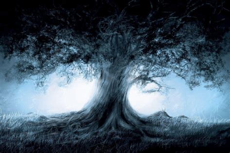 Amazing Magic 的图像结果