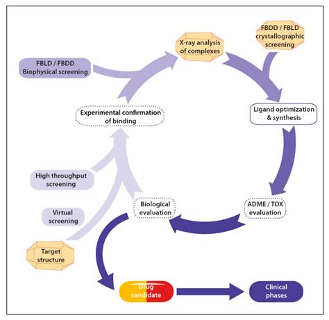 Protein X-ray Crystallography and Drug Discovery