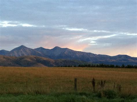 Image result for Springfield NZ