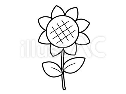 Image result for Copy Paste Problem