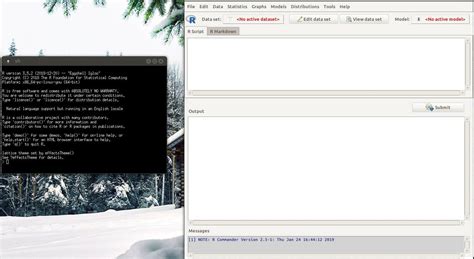 Image result for R Commander Tutorial