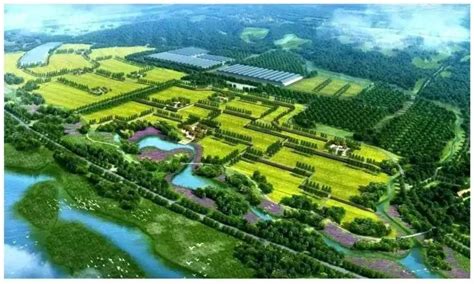 2020年现代农业产业园申报条件与申报流程-广西县域经济发展研究院