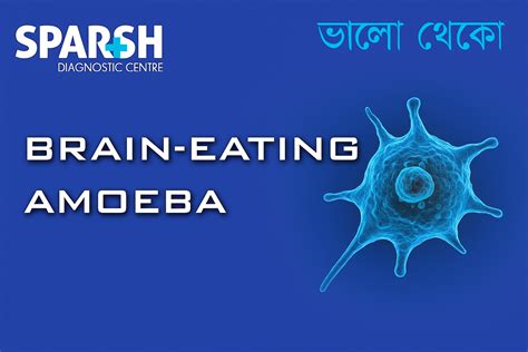 Brain-eating amoeba (Naegleria fowleri): what you need to know — and why Kerala is on alert ...
